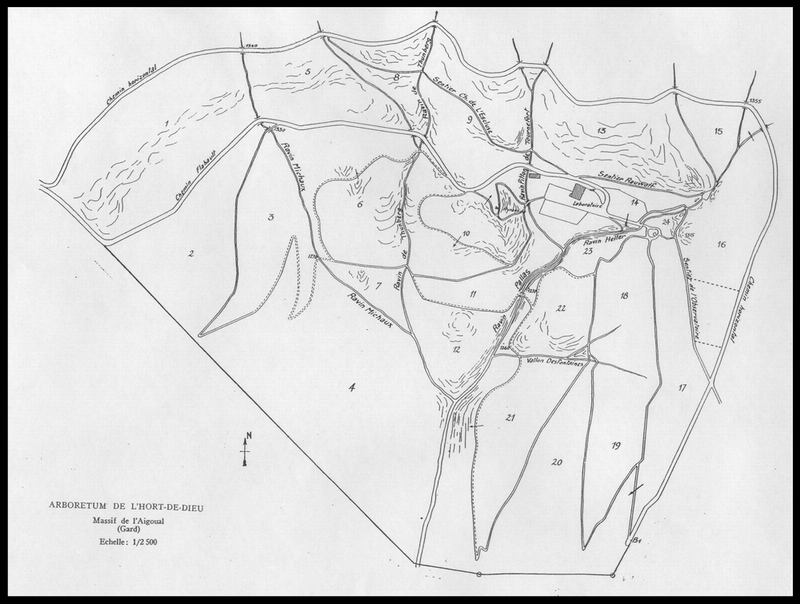 Plan de l'arboretum